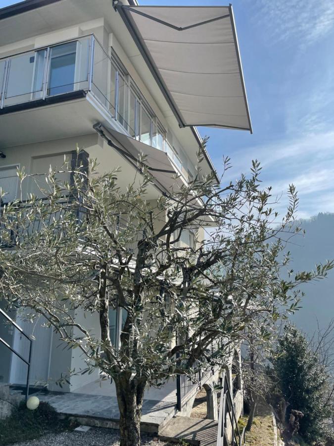 Casa Colmegna Mit Traumhaften See- Und Bergblick Luino Exteriér fotografie